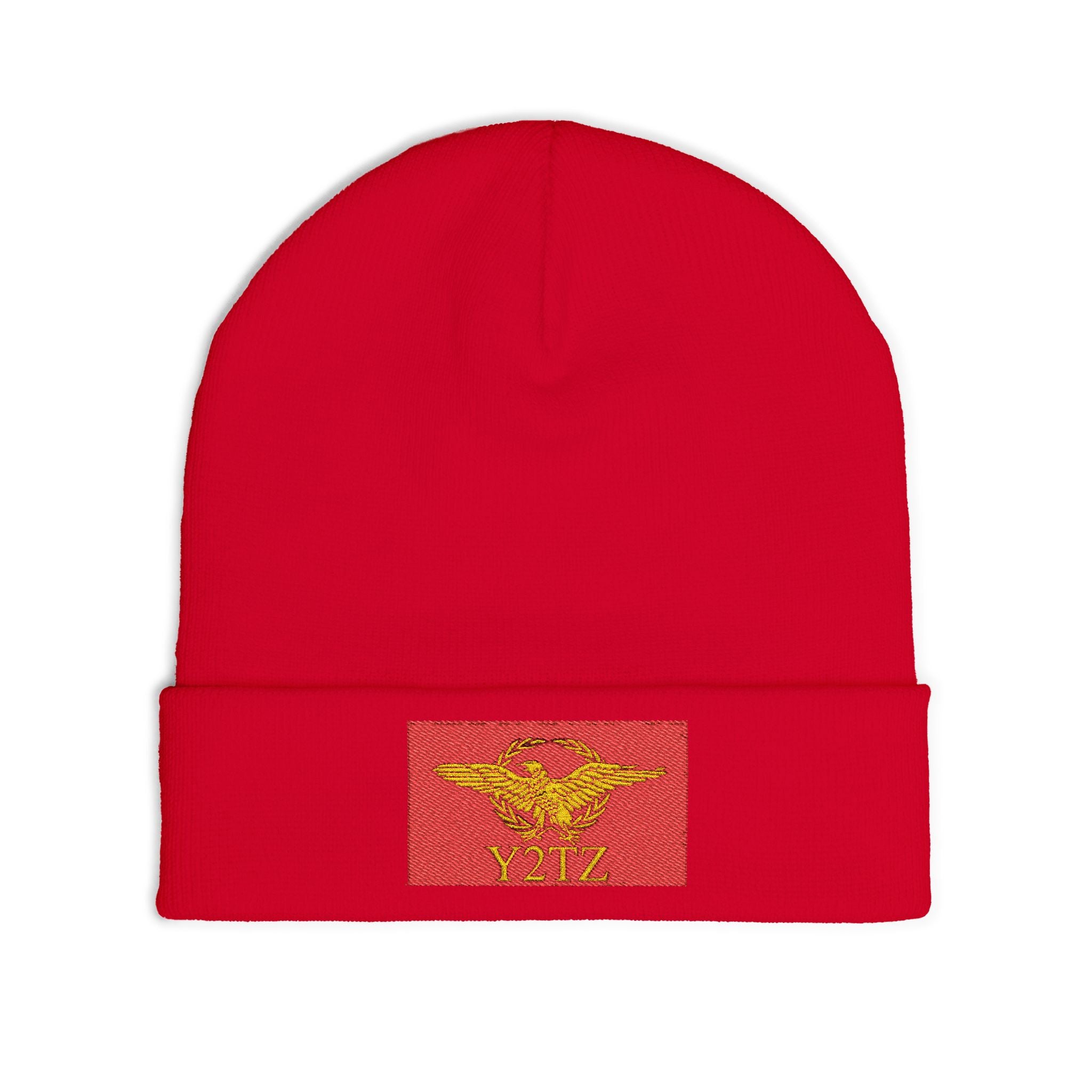 Republic of Y2TZ Beanie