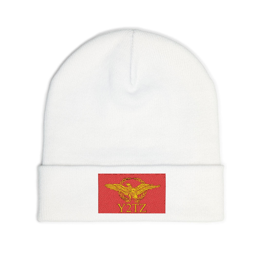 Republic of Y2TZ Beanie