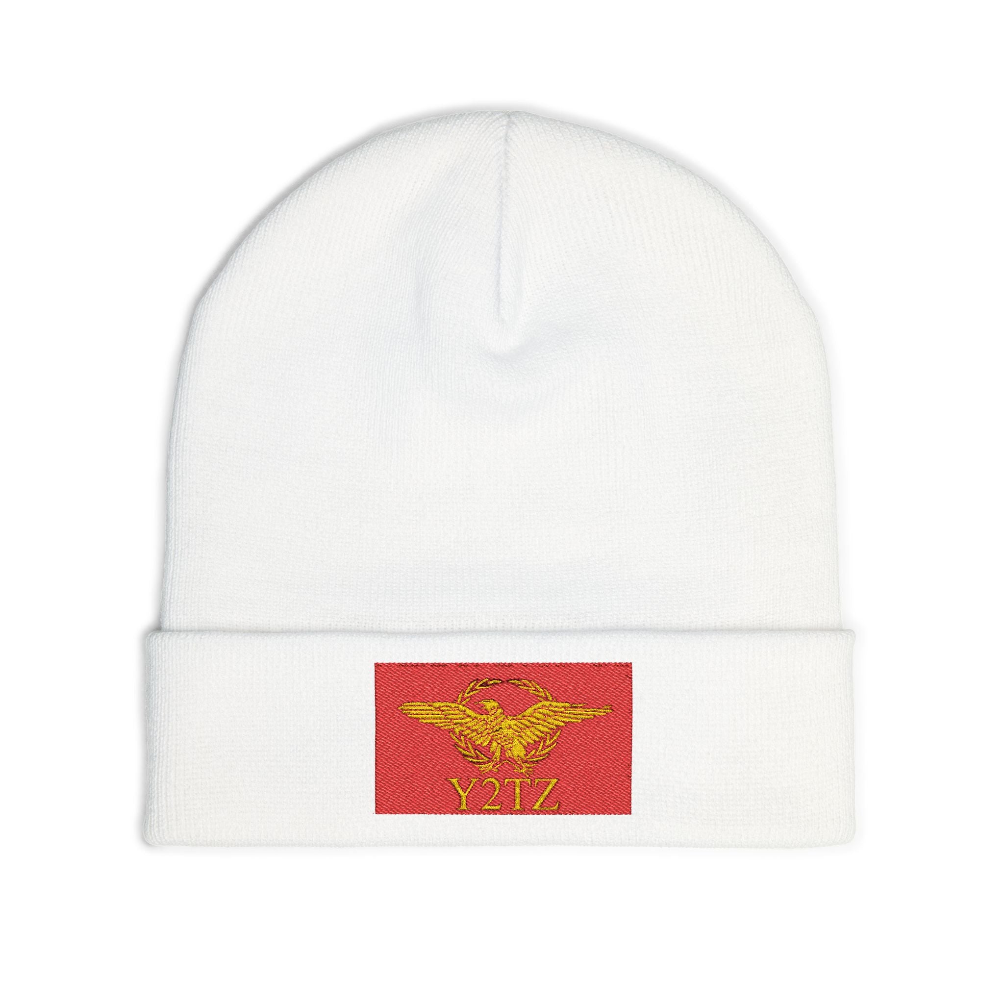 Republic of Y2TZ Beanie