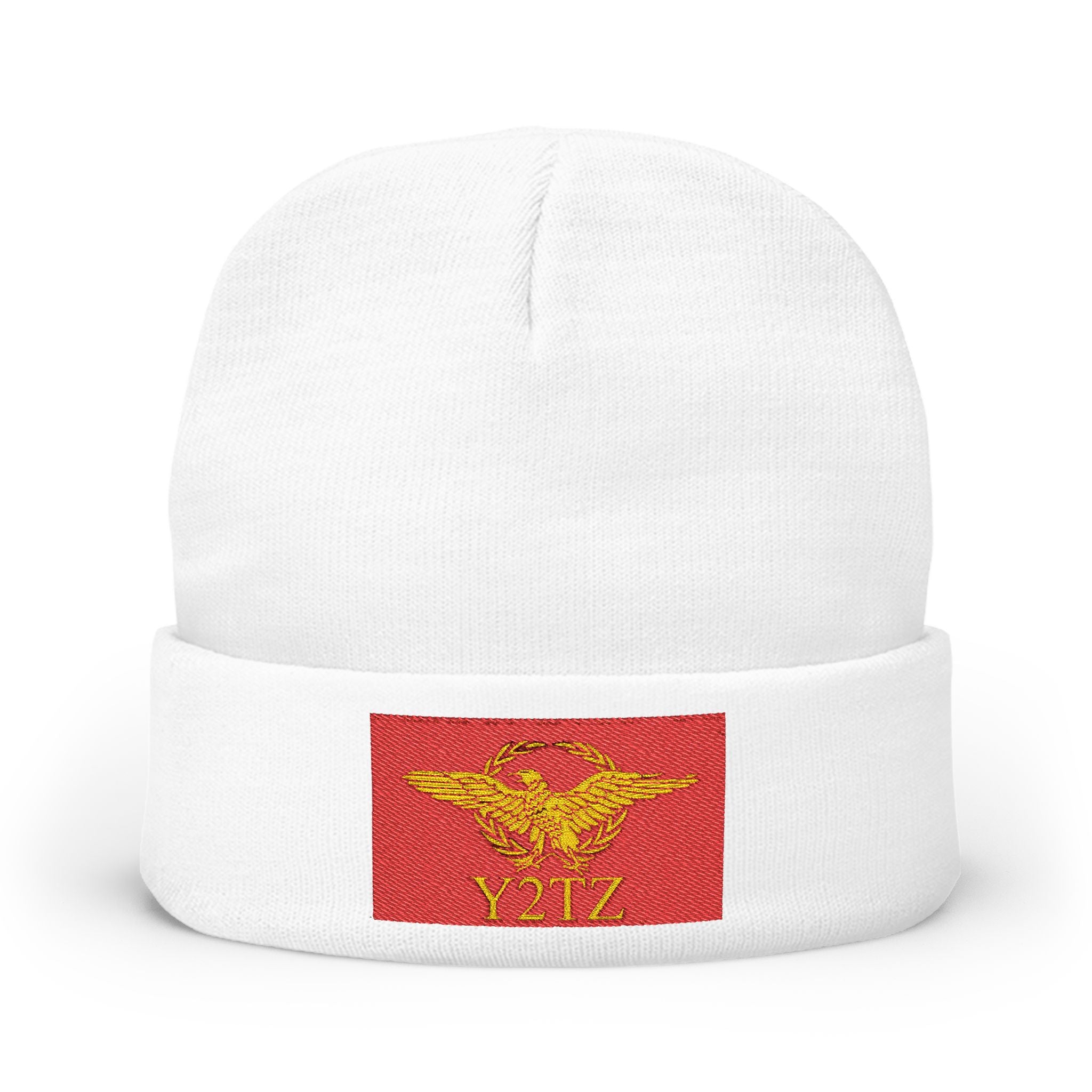 Republic of Y2TZ Beanie