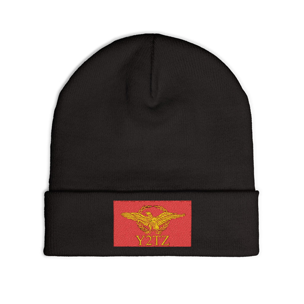 Republic of Y2TZ Beanie
