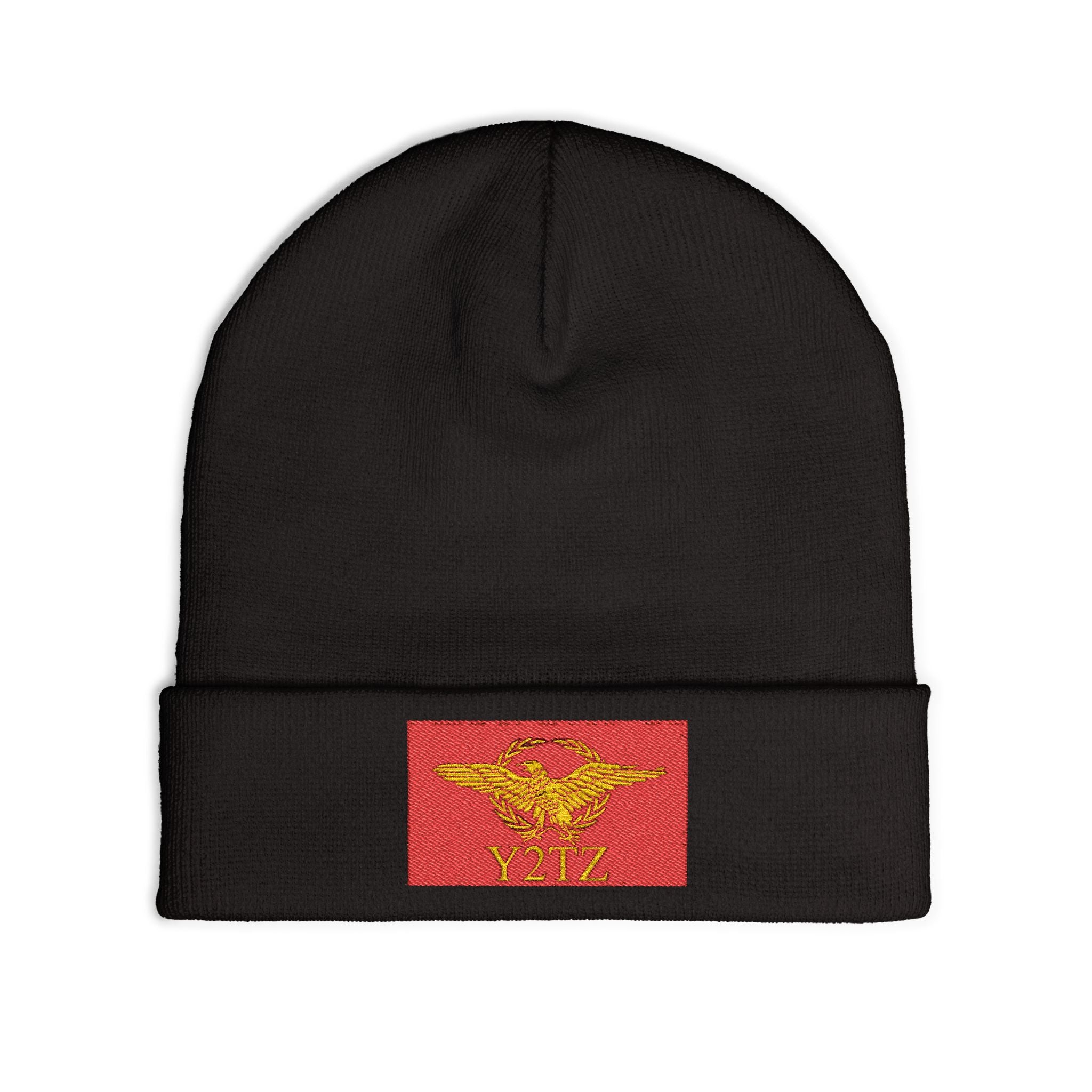 Republic of Y2TZ Beanie