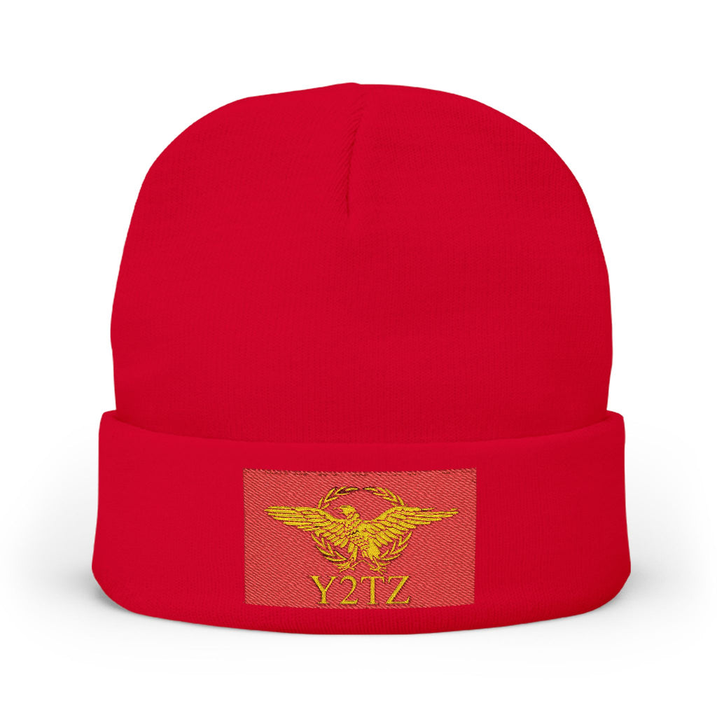 Republic of Y2TZ Beanie