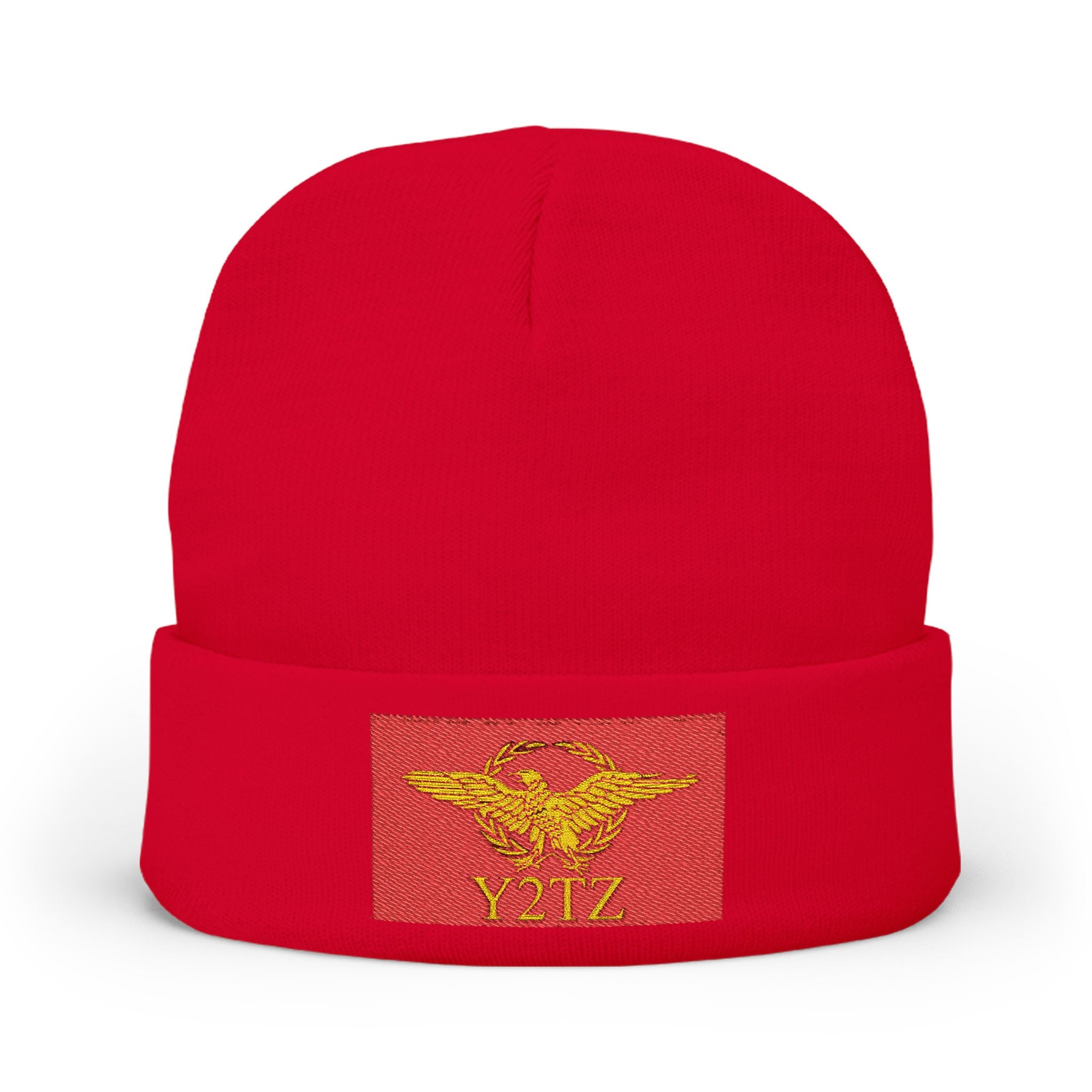 Republic of Y2TZ Beanie