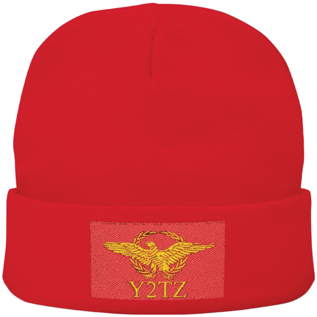 Republic of Y2TZ Beanie