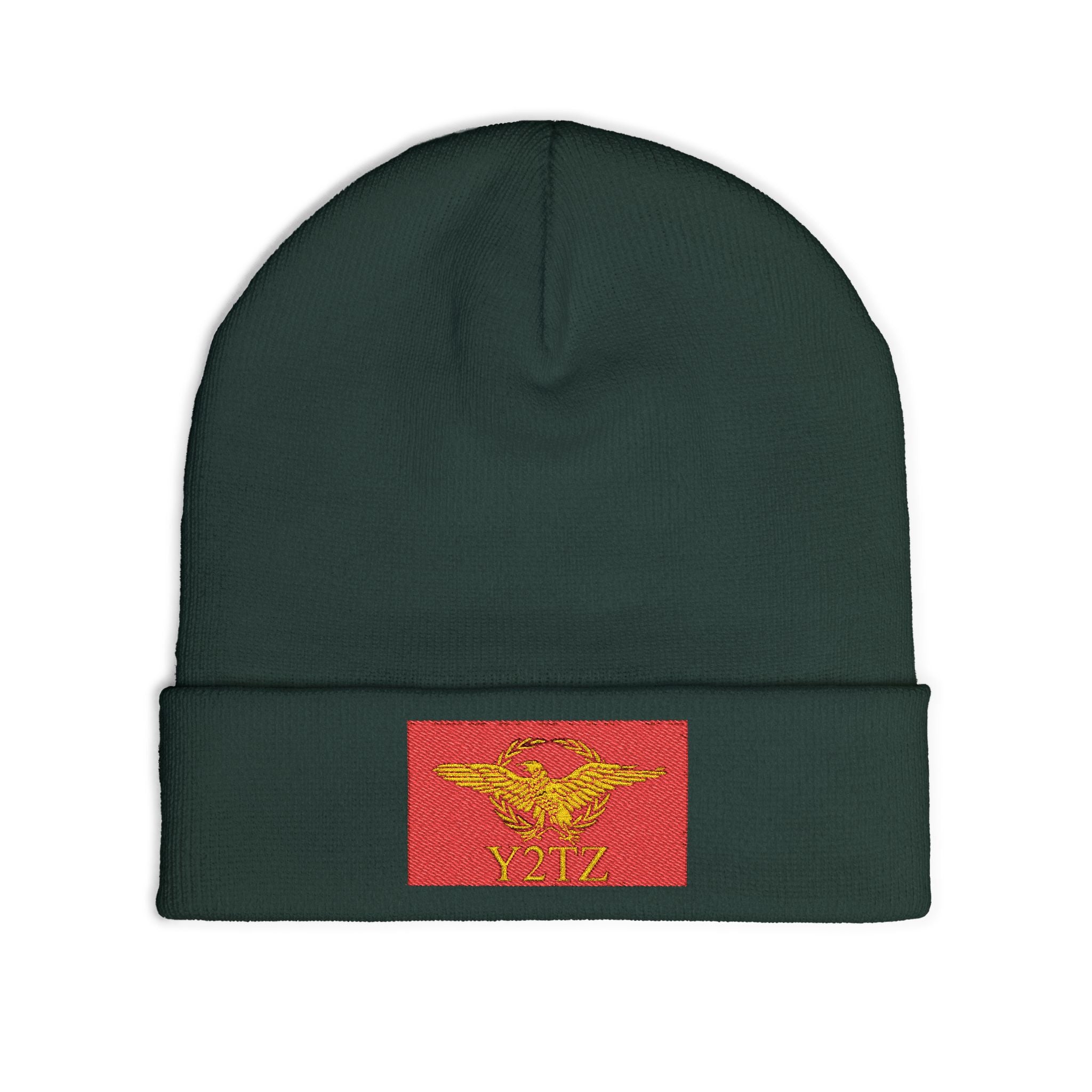Republic of Y2TZ Beanie