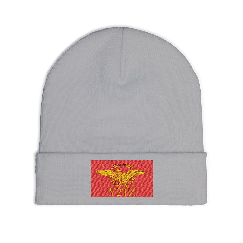 Republic of Y2TZ Beanie